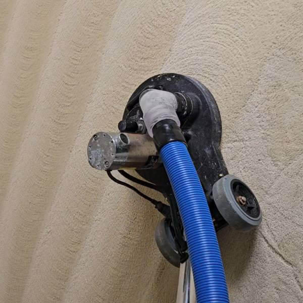 Free Carpet Cleaning Demo